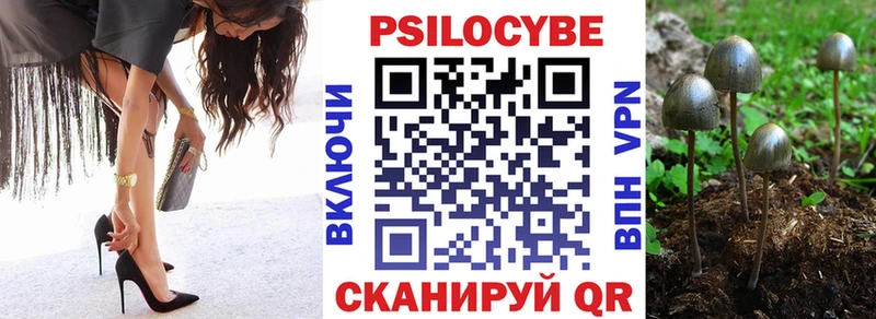 Купить где  Городище  Галлюциногенные грибы Psilocybine cubensis 